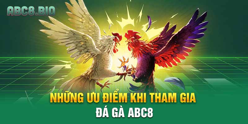 Những ưu điểm khi tham gia đá gà ABC8